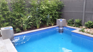 finished rendered painted swimming pool